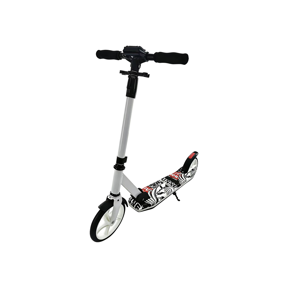 FL-1250 বিগ হুইল চিলড্রেন স্কুটার